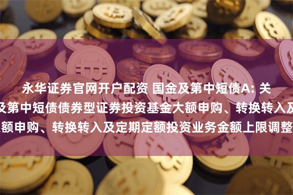 永华证券官网开户配资 国金及第中短债A: 关于对单个基金账户国金及第中短债债券型证券投资基金大额申购、转换转入及定期定额投资业务金额上限调整的公告